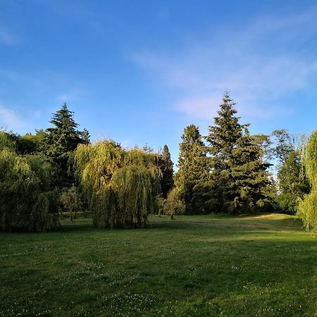Entire Forest Home Near Nature & Amenities Surrey Exteriör bild