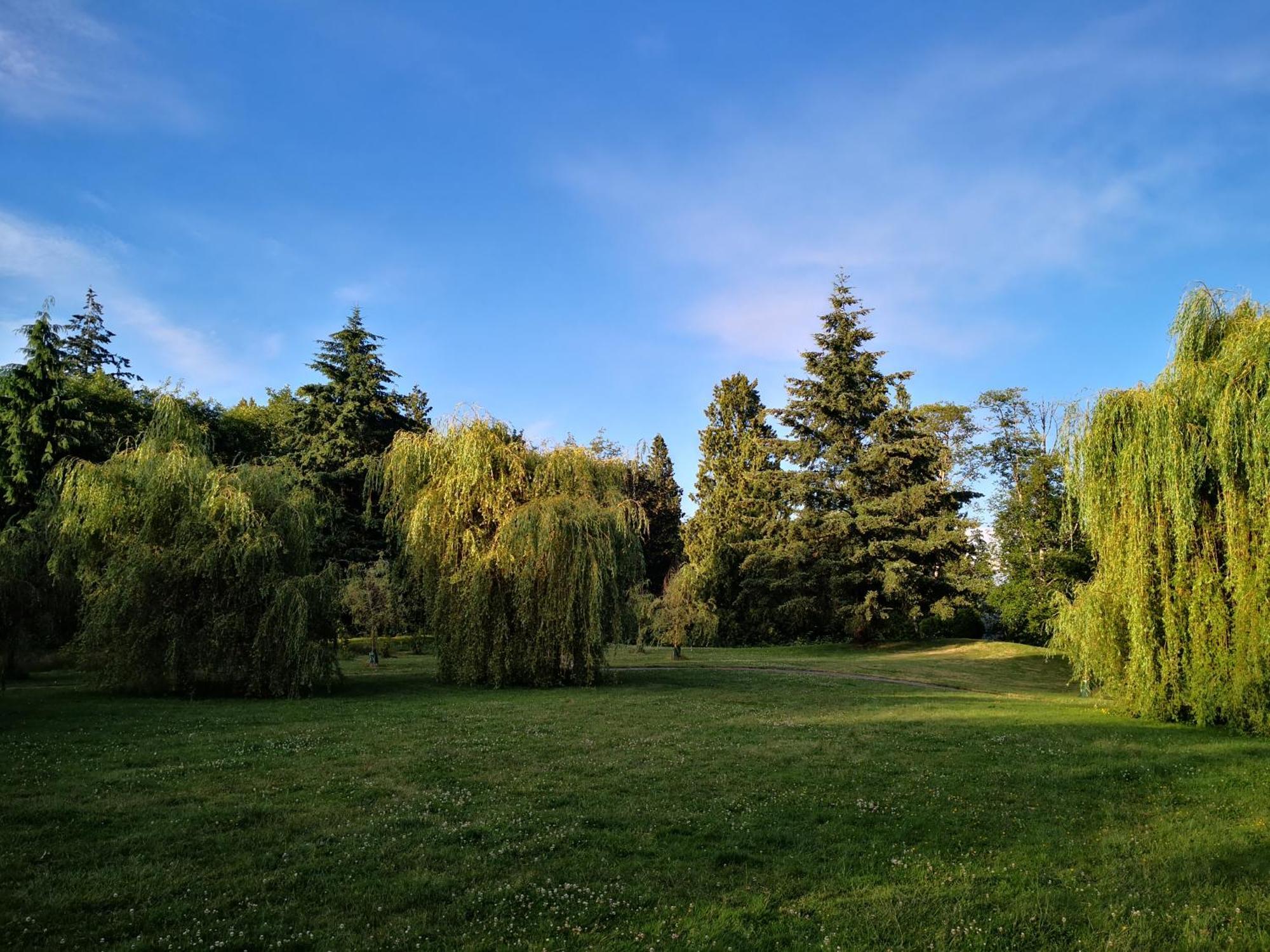Entire Forest Home Near Nature & Amenities Surrey Exteriör bild